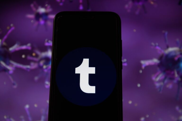 Tumblr's 'fediverse' integration is still being worked on, says owner and Automattic CEO Matt Mullenweg